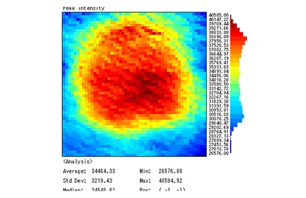 Micro PL/Raman & TCSPC System