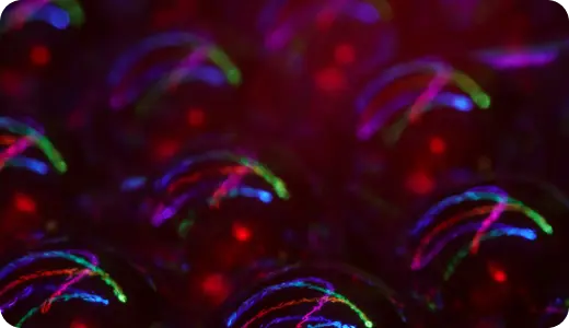 Colorful microscopic bubbles representing customized solutions